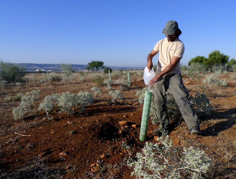 quienes-somos-reforesta[1]