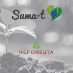 reforesta 